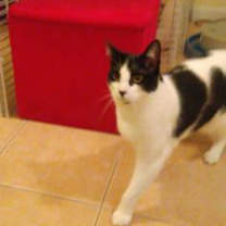 Thumbnail photo of Tammy #1