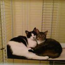 Thumbnail photo of Tammy #2