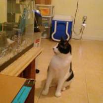 Thumbnail photo of Tammy #3