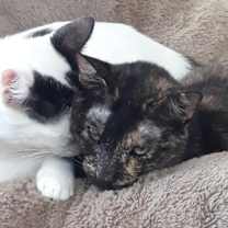 Thumbnail photo of Pixel #3