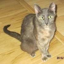 Thumbnail photo of Dina #1