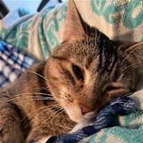 Thumbnail photo of Tabitha #1