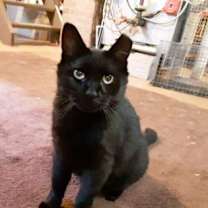Thumbnail photo of Sailor #1