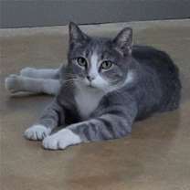 Thumbnail photo of Greta #2