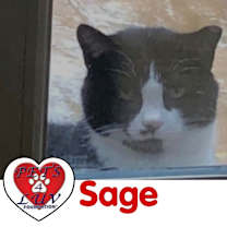 Thumbnail photo of Sage #1