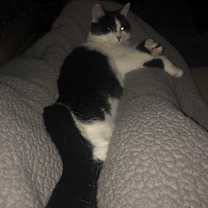 Thumbnail photo of Joy #4