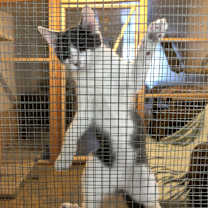 Thumbnail photo of Hope #2