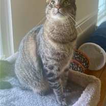 Thumbnail photo of Matt #2