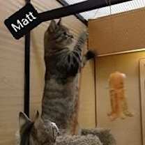 Thumbnail photo of Matt #4