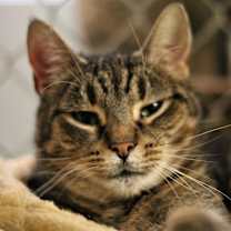 Thumbnail photo of Delilah #1