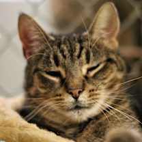 Thumbnail photo of Delilah #3