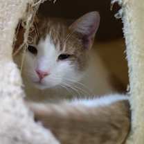 Thumbnail photo of Mio #3