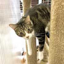 Thumbnail photo of Perry #1