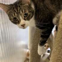 Thumbnail photo of Perry #2