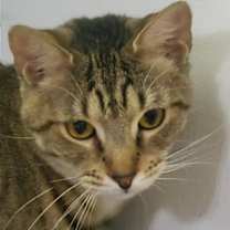 Thumbnail photo of Eydie #1