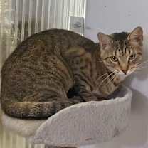Thumbnail photo of Eydie #2