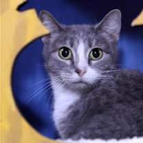 Thumbnail photo of Greta #3