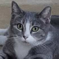 Thumbnail photo of Greta #4