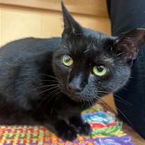 Thumbnail photo of June #1