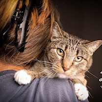 Thumbnail photo of Carlee #1