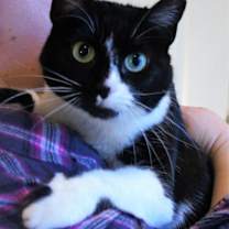 Thumbnail photo of Pam #1