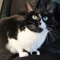 Thumbnail photo of Pam #2