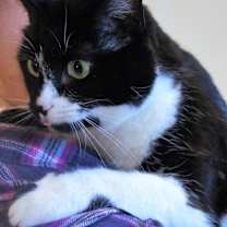 Thumbnail photo of Pam #3