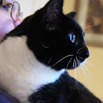 Thumbnail photo of Pam #4