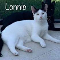 Thumbnail photo of Lonnie #1