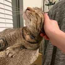 Thumbnail photo of Tabitha #4