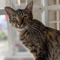 Thumbnail photo of Kate #2