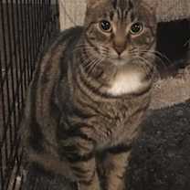 Thumbnail photo of Bobbi #2