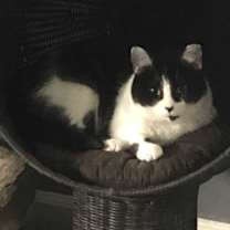 Thumbnail photo of Bridgette #2