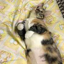 Thumbnail photo of Fiona #2