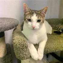 Thumbnail photo of Ivy #1