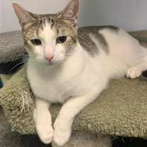 Thumbnail photo of Ivy #2