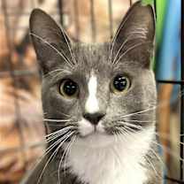 Thumbnail photo of Tom #1