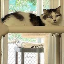 Thumbnail photo of Annie #3