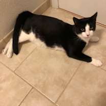 Thumbnail photo of Oliver #2