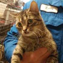 Thumbnail photo of Mylee #1