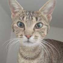 Thumbnail photo of Abigail #1