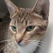 Thumbnail photo of Hope #1