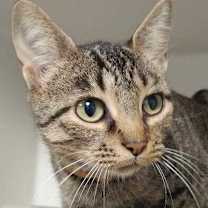 Thumbnail photo of Patsy #1