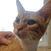 Thumbnail photo of Olive #1