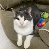 Thumbnail photo of Luke Skywhisker #1