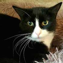 Thumbnail photo of Suzie Q 05-28-19 #1