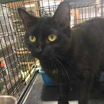 Thumbnail photo of Skater #1