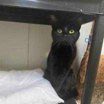 Thumbnail photo of Moonbeam #1