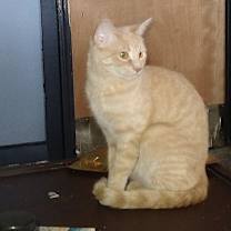 Thumbnail photo of Jani (Johnny) #2