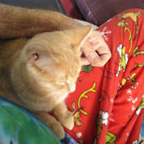 Thumbnail photo of Jani (Johnny) #3